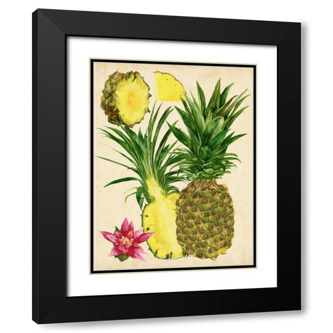 Tropical Pineapple Study II Black Modern Wood Framed Art Print with Double Matting by Wang, Melissa