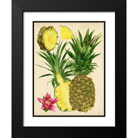 Tropical Pineapple Study II Black Modern Wood Framed Art Print with Double Matting by Wang, Melissa