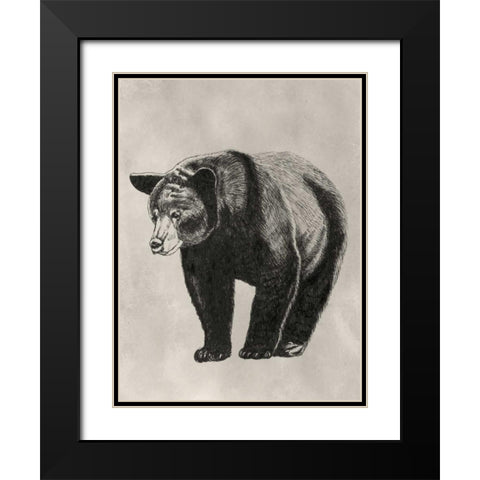 Pen and Ink Bear II Black Modern Wood Framed Art Print with Double Matting by McCavitt, Naomi