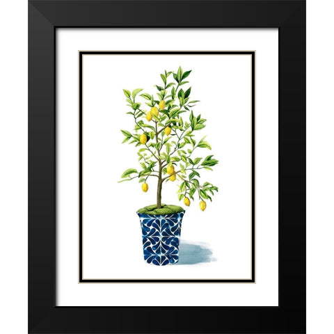 Fruit Tree II Black Modern Wood Framed Art Print with Double Matting by Popp, Grace