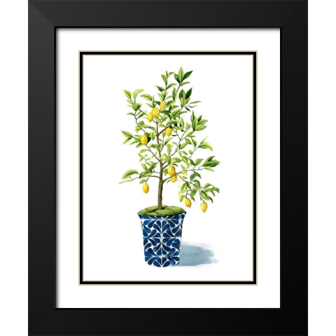 Fruit Tree II Black Modern Wood Framed Art Print with Double Matting by Popp, Grace