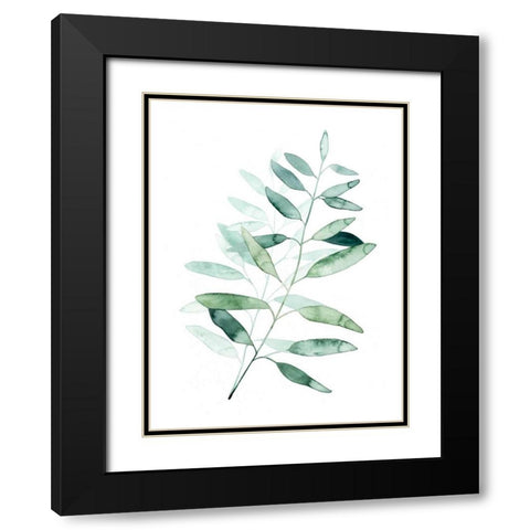 Serene Reed II Black Modern Wood Framed Art Print with Double Matting by Popp, Grace