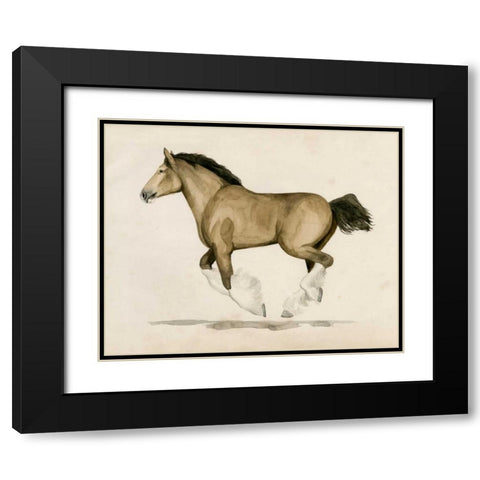 Clydesdale II Black Modern Wood Framed Art Print with Double Matting by Popp, Grace