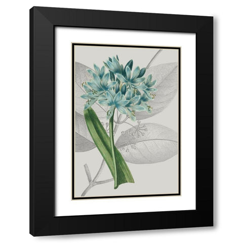 Botanical Arrangement II Black Modern Wood Framed Art Print with Double Matting by Vision Studio