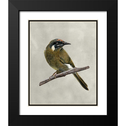 Winged Beauty III Black Modern Wood Framed Art Print with Double Matting by McCavitt, Naomi