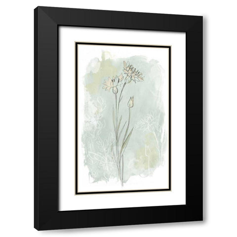 Stone Flower Study I Black Modern Wood Framed Art Print with Double Matting by Vess, June Erica