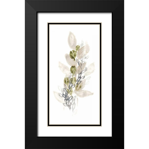 Botanica Whimsy III Black Modern Wood Framed Art Print with Double Matting by Vess, June Erica