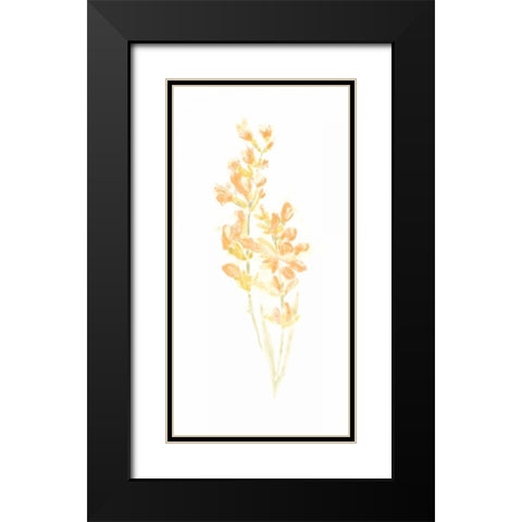 Bouquet Blush I Black Modern Wood Framed Art Print with Double Matting by Vess, June Erica