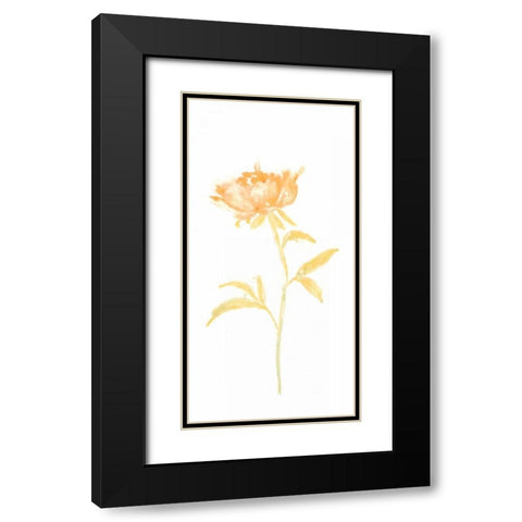 Bouquet Blush II Black Modern Wood Framed Art Print with Double Matting by Vess, June Erica