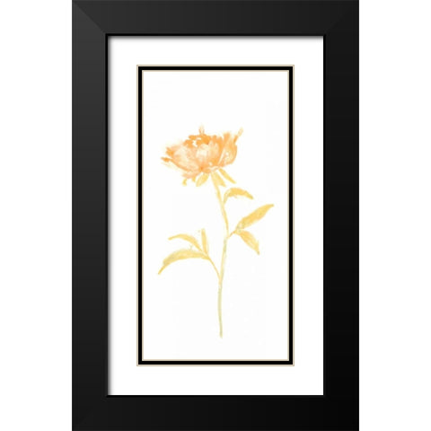 Bouquet Blush II Black Modern Wood Framed Art Print with Double Matting by Vess, June Erica