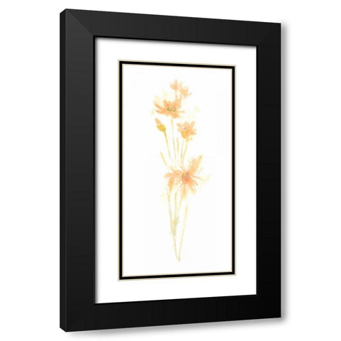 Bouquet Blush III Black Modern Wood Framed Art Print with Double Matting by Vess, June Erica