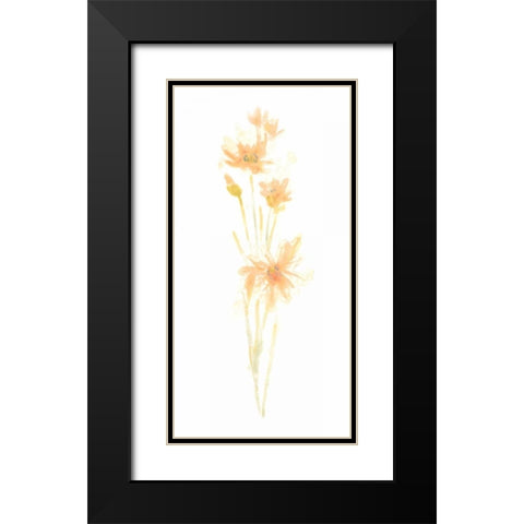 Bouquet Blush III Black Modern Wood Framed Art Print with Double Matting by Vess, June Erica
