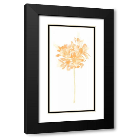 Bouquet Blush VI Black Modern Wood Framed Art Print with Double Matting by Vess, June Erica