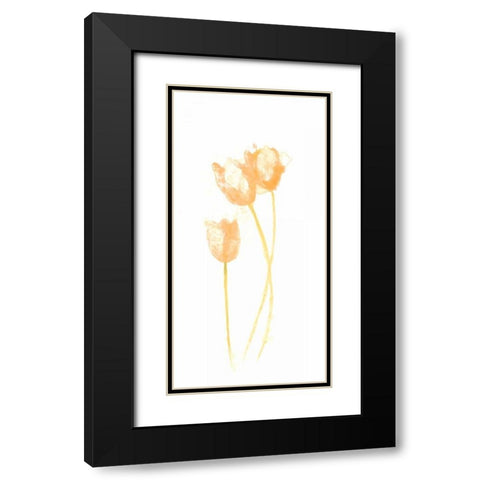 Bouquet Blush VIII Black Modern Wood Framed Art Print with Double Matting by Vess, June Erica