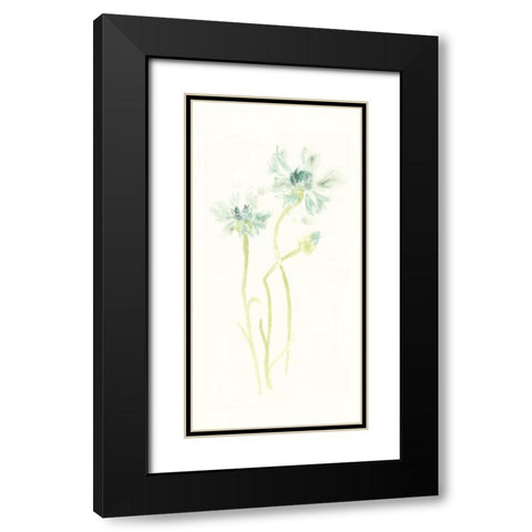 Cornflower Study II Black Modern Wood Framed Art Print with Double Matting by Vess, June Erica