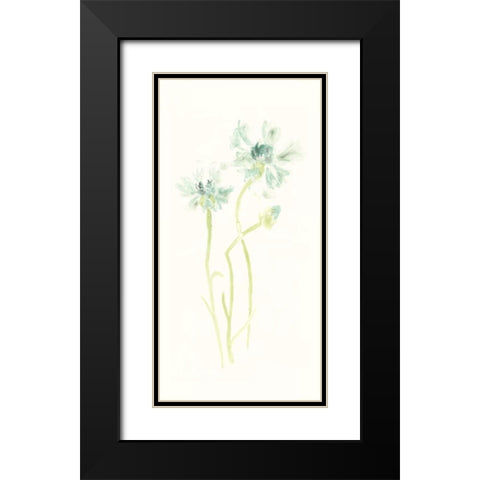 Cornflower Study II Black Modern Wood Framed Art Print with Double Matting by Vess, June Erica
