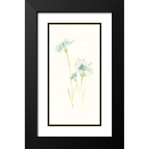 Cornflower Study III Black Modern Wood Framed Art Print with Double Matting by Vess, June Erica