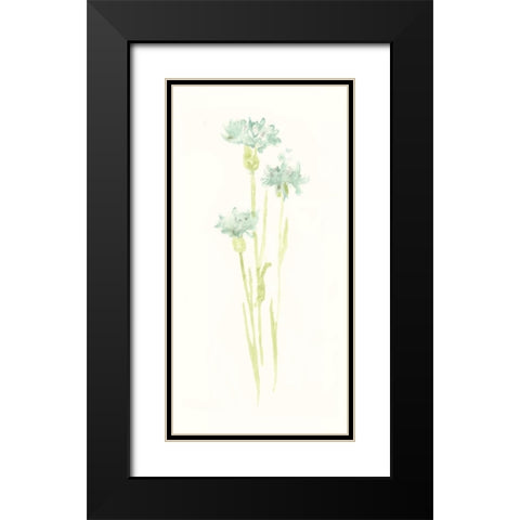 Cornflower Study IV Black Modern Wood Framed Art Print with Double Matting by Vess, June Erica