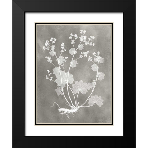 Herbarium Study I Black Modern Wood Framed Art Print with Double Matting by Vision Studio