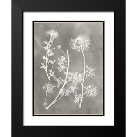 Herbarium Study IV Black Modern Wood Framed Art Print with Double Matting by Vision Studio