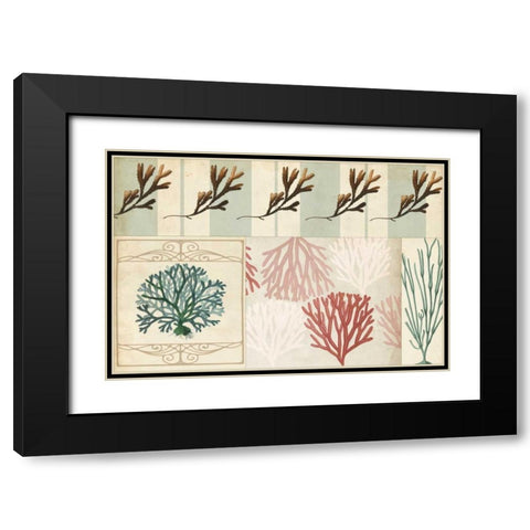 Coastal Patternbook I Black Modern Wood Framed Art Print with Double Matting by Vision Studio