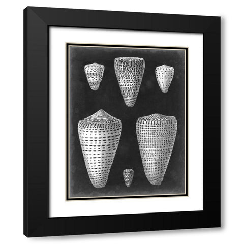 Alabaster Shells I Black Modern Wood Framed Art Print with Double Matting by Vision Studio