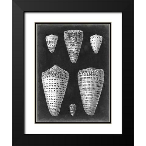 Alabaster Shells I Black Modern Wood Framed Art Print with Double Matting by Vision Studio