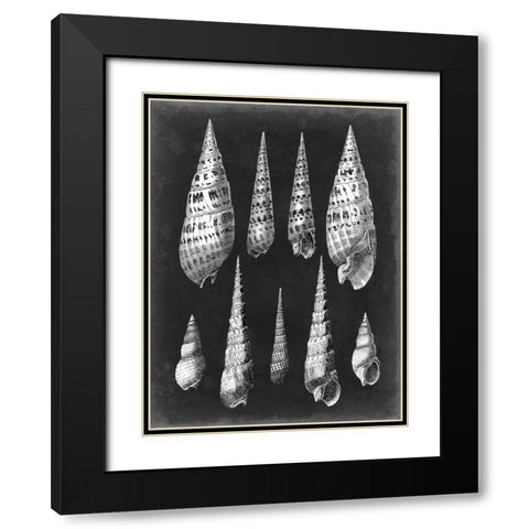 Alabaster Shells II Black Modern Wood Framed Art Print with Double Matting by Vision Studio