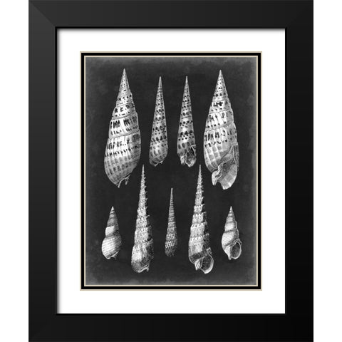 Alabaster Shells II Black Modern Wood Framed Art Print with Double Matting by Vision Studio