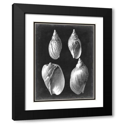 Alabaster Shells III Black Modern Wood Framed Art Print with Double Matting by Vision Studio