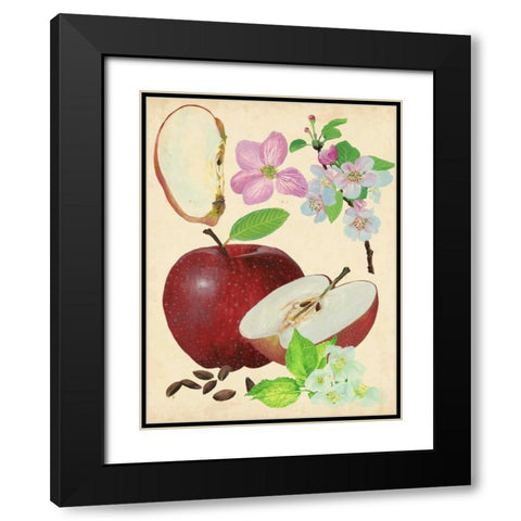 Apple and Blossom Study I Black Modern Wood Framed Art Print with Double Matting by Wang, Melissa