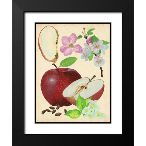 Apple and Blossom Study I Black Modern Wood Framed Art Print with Double Matting by Wang, Melissa