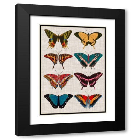 Polychrome Butterflies I Black Modern Wood Framed Art Print with Double Matting by Vision Studio