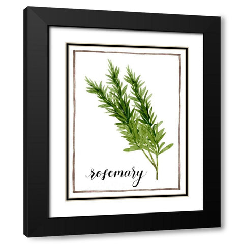 Watercolor Herbs V Black Modern Wood Framed Art Print with Double Matting by Popp, Grace