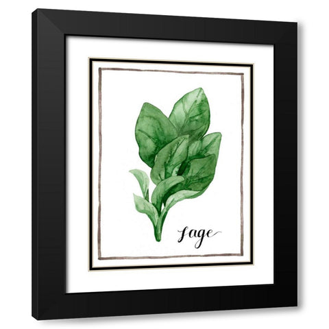 Watercolor Herbs VI Black Modern Wood Framed Art Print with Double Matting by Popp, Grace