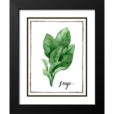 Watercolor Herbs VI Black Modern Wood Framed Art Print with Double Matting by Popp, Grace