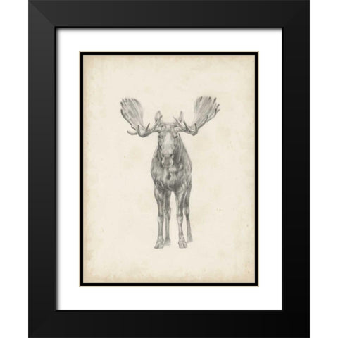 Moose Study  Black Modern Wood Framed Art Print with Double Matting by Harper, Ethan