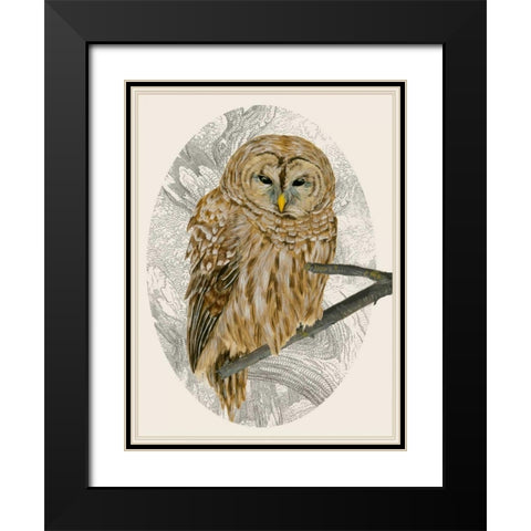 Barred Owl I Black Modern Wood Framed Art Print with Double Matting by Wang, Melissa