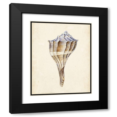 Watercolor Seashell I Black Modern Wood Framed Art Print with Double Matting by Wang, Melissa