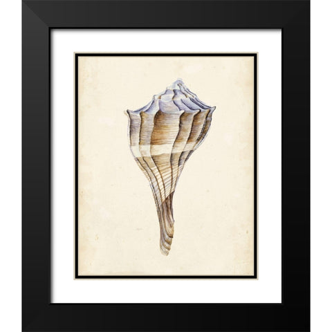 Watercolor Seashell I Black Modern Wood Framed Art Print with Double Matting by Wang, Melissa