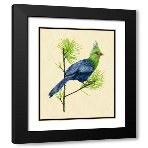 Green Turaco I Black Modern Wood Framed Art Print with Double Matting by Wang, Melissa