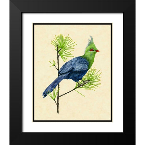 Green Turaco I Black Modern Wood Framed Art Print with Double Matting by Wang, Melissa