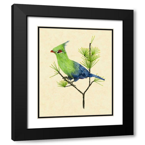 Green Turaco II Black Modern Wood Framed Art Print with Double Matting by Wang, Melissa