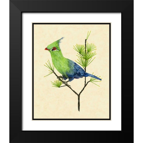 Green Turaco II Black Modern Wood Framed Art Print with Double Matting by Wang, Melissa