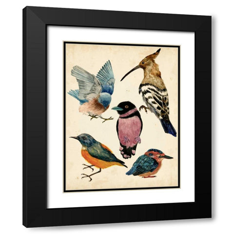 Bird Collection I Black Modern Wood Framed Art Print with Double Matting by Wang, Melissa