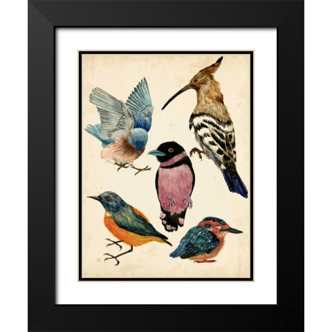 Bird Collection I Black Modern Wood Framed Art Print with Double Matting by Wang, Melissa