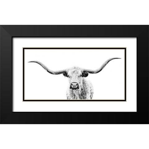 Longhorn Gaze Black Modern Wood Framed Art Print with Double Matting by PHBurchett