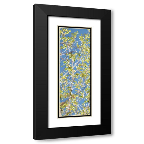 Spring Poplars I Black Modern Wood Framed Art Print with Double Matting by Chandler, Sharon