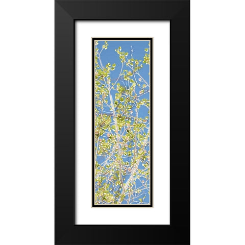 Spring Poplars II Black Modern Wood Framed Art Print with Double Matting by Chandler, Sharon