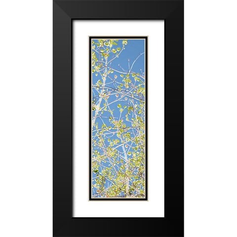Spring Poplars III Black Modern Wood Framed Art Print with Double Matting by Chandler, Sharon